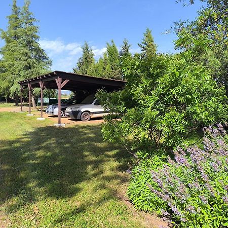 Casas Rurales Tabla Honda El Robledo  Dış mekan fotoğraf