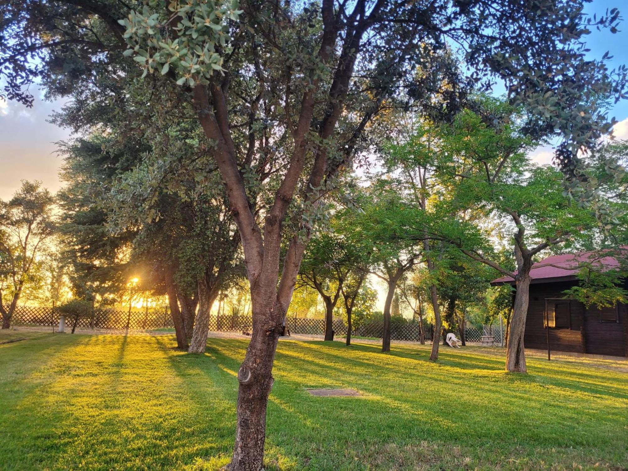 Casas Rurales Tabla Honda El Robledo  Dış mekan fotoğraf